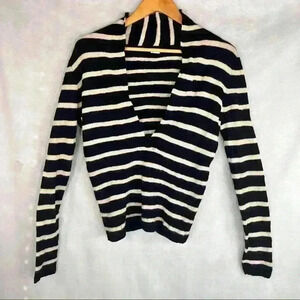 J.CREW Sweater Women Sz M Blue Cream Striped 100% Baby Alpaca V Neck Long Sleeve
